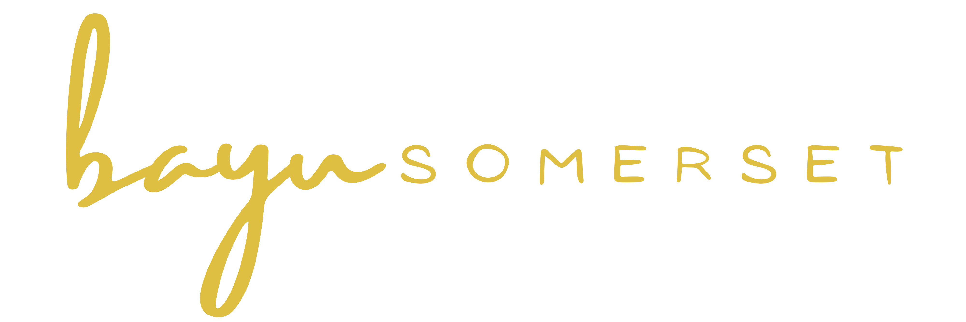 Bayu Somerset