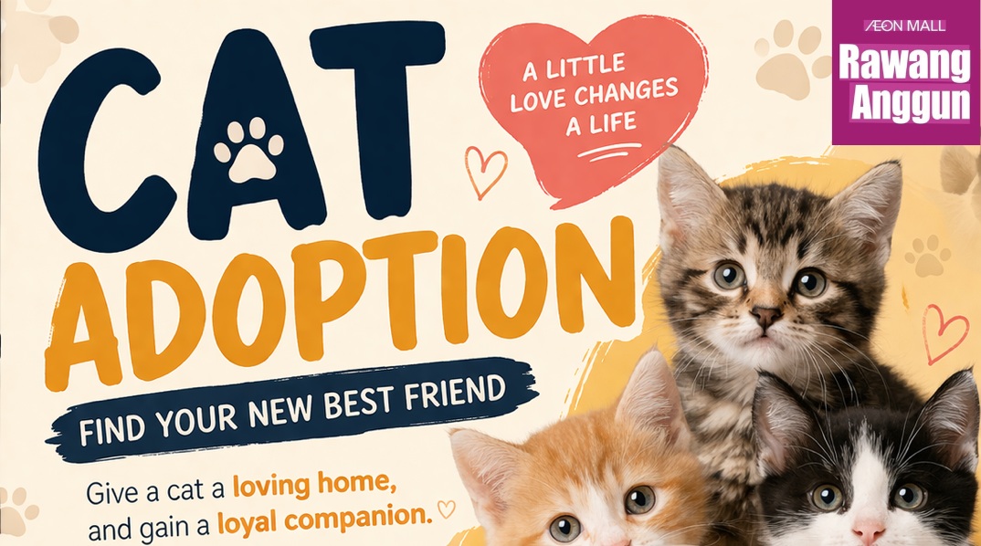CAT ADOPTION