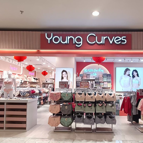 YOUNG CURVES