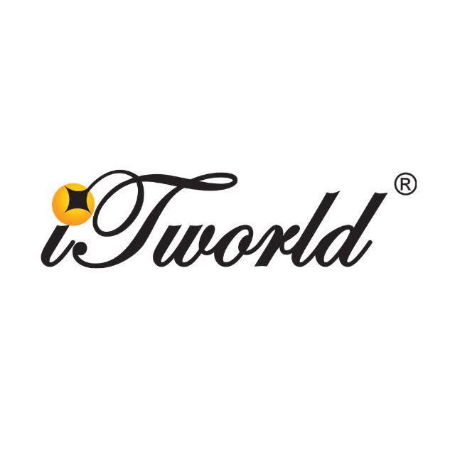 IT WORLD
