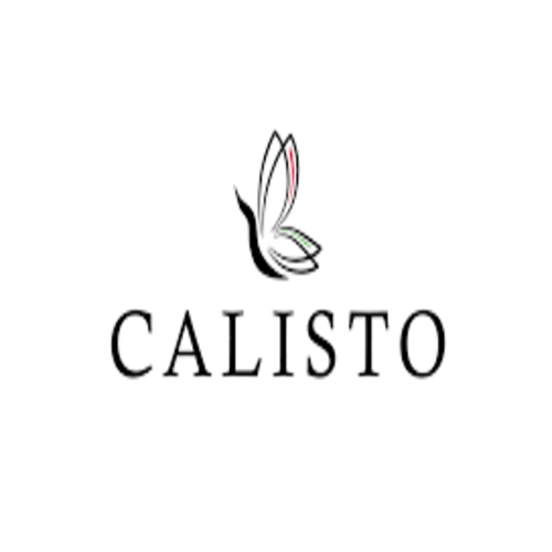CALISTO