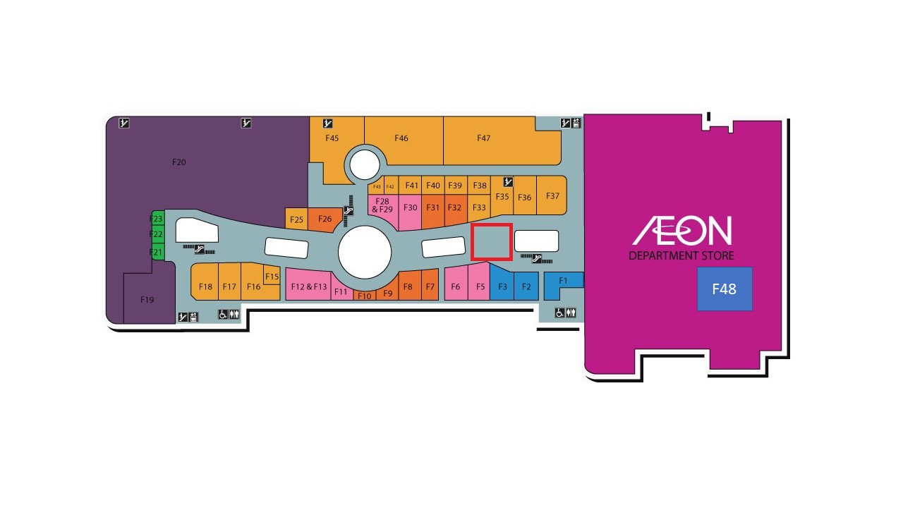 Molly Fantasy / Smart Wonder World