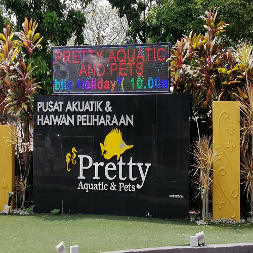 PRETTY AQUATIC