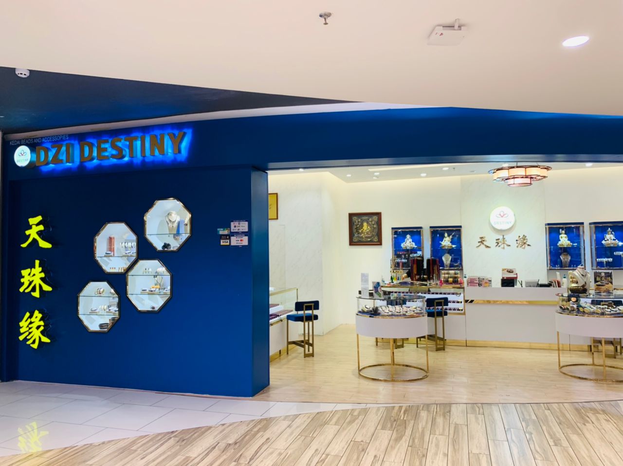 Dzi Destiny