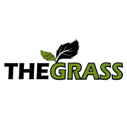THE GRASS