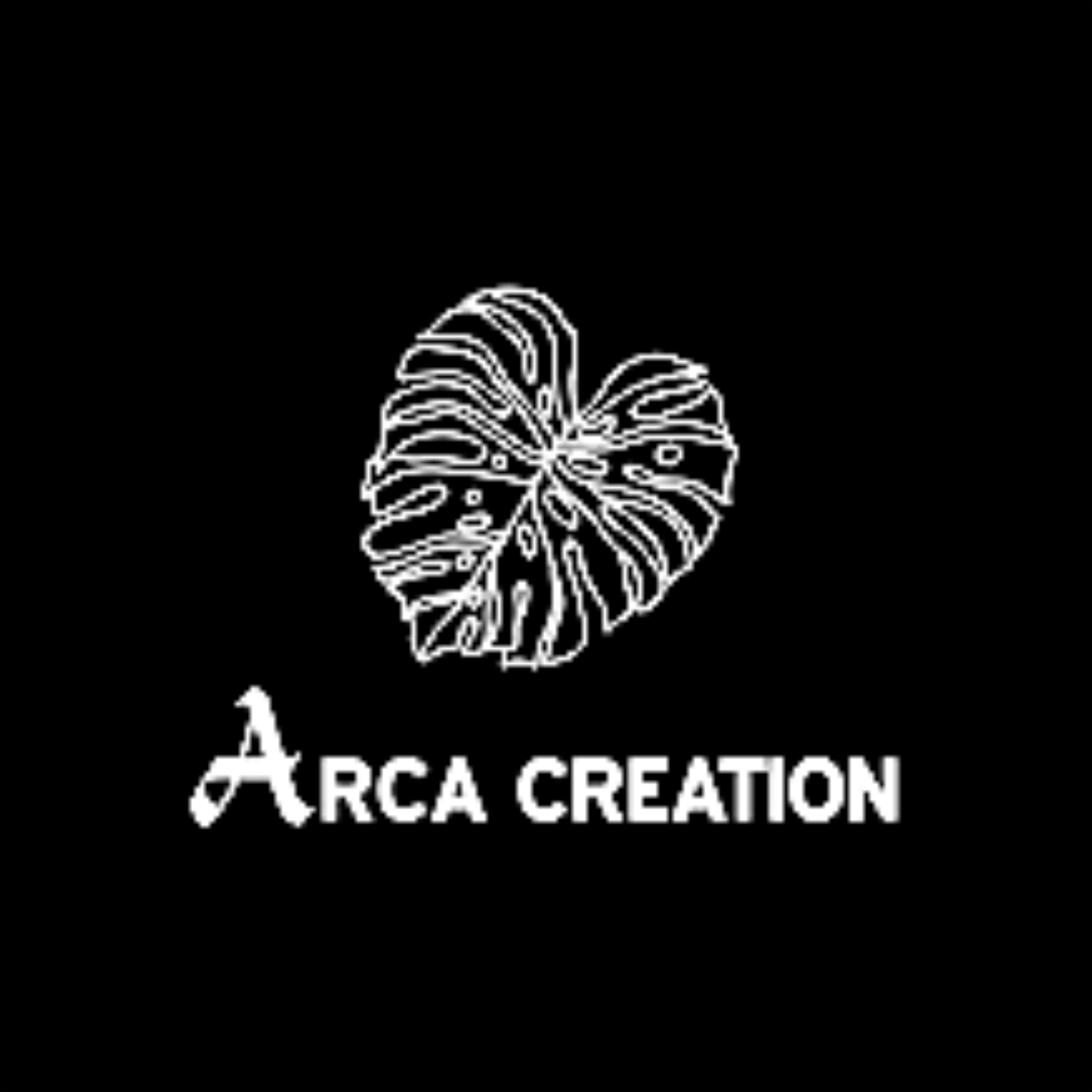 ARCA CREATION