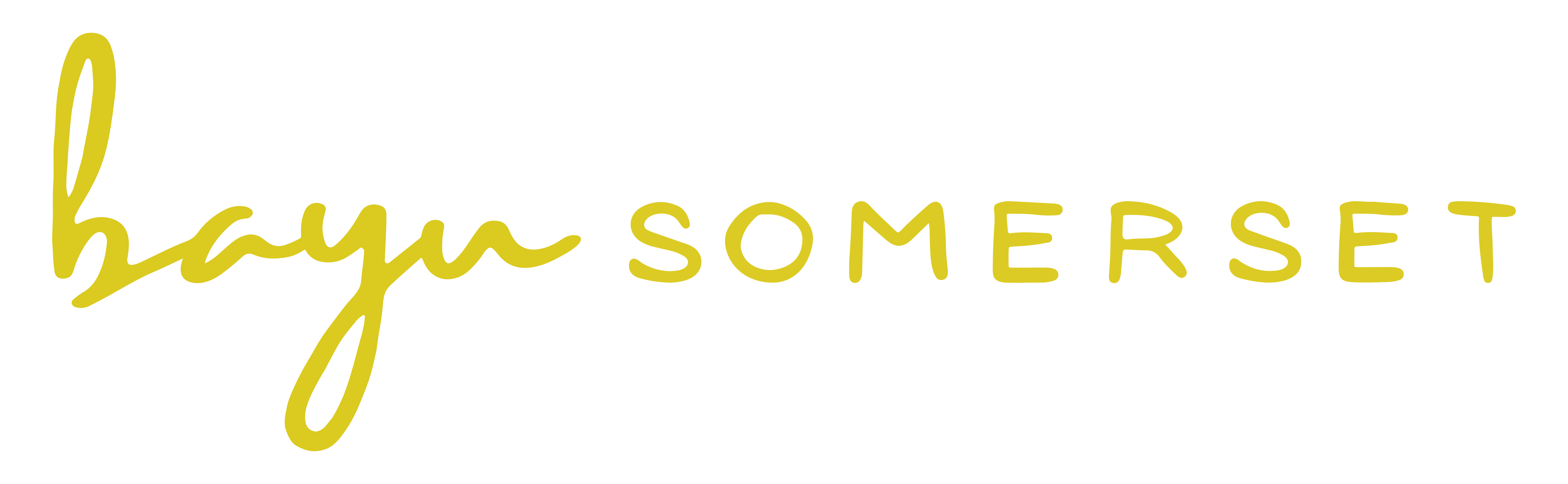 BAYU SOMERSET